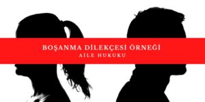 BOŞANMA DİLEKÇESİ ÖRNEĞİ